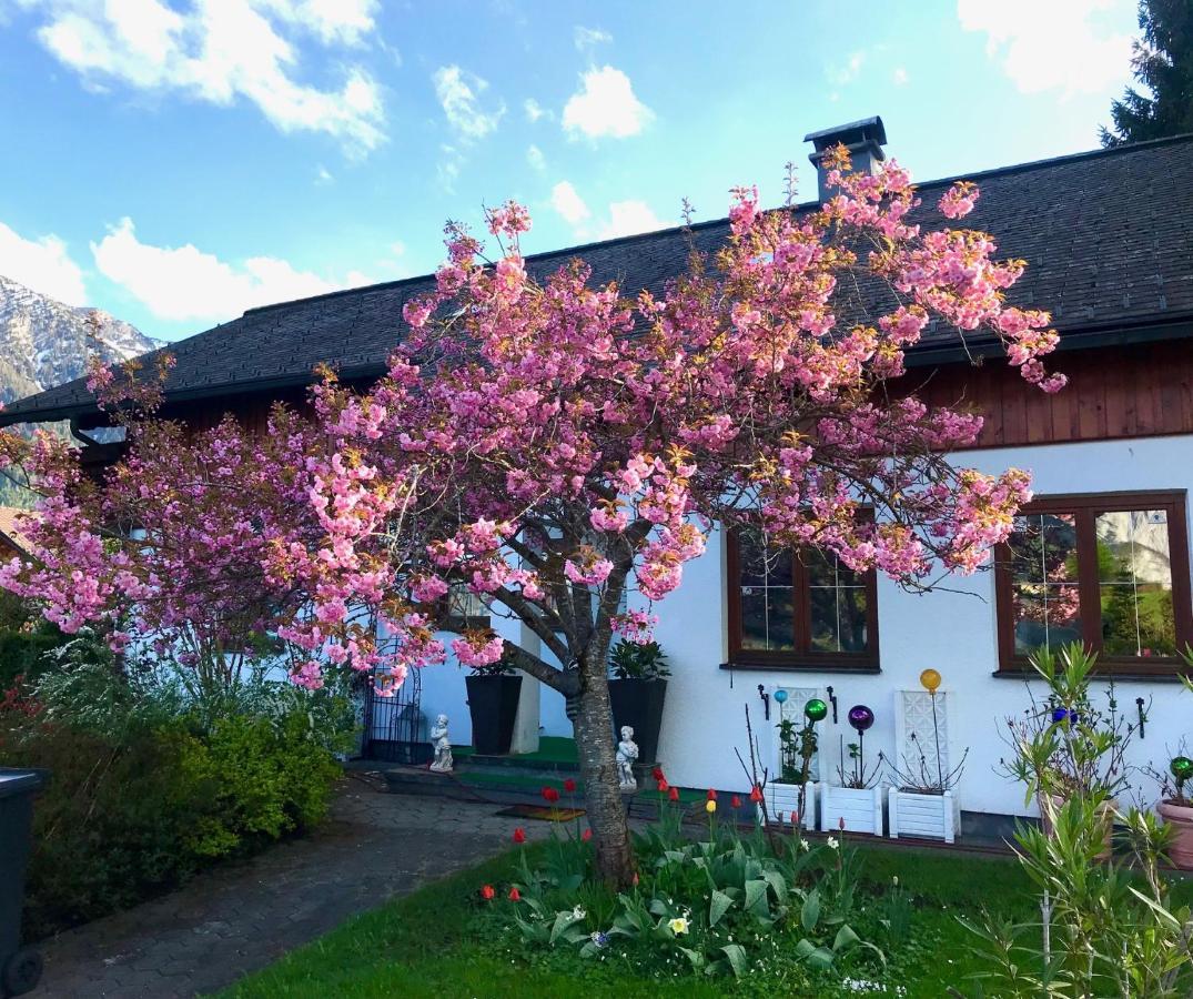 Haus Belli Villa Bad Aussee Buitenkant foto